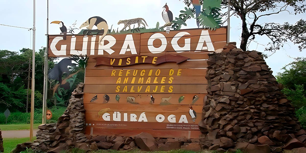 Guira Oga